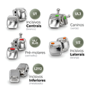 Kit LineaD2 — identificação dos bráquetes por dente